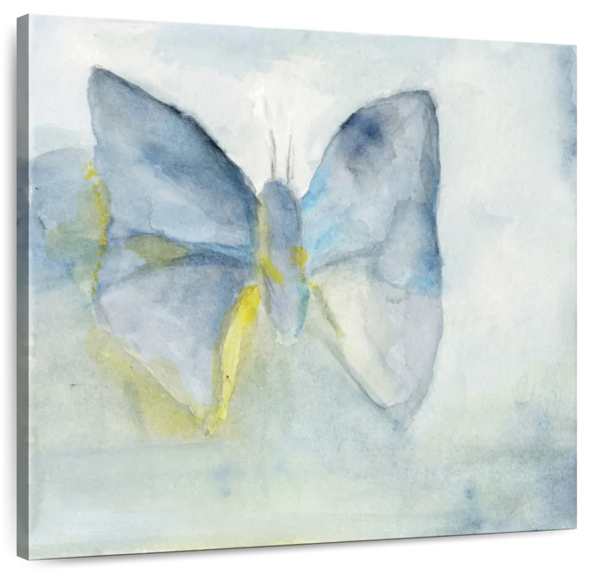 A Butterfly I Wall Art