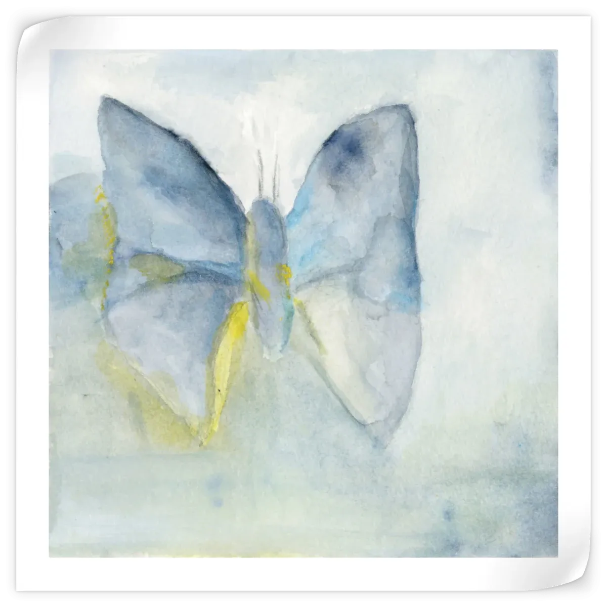 A Butterfly I Wall Art