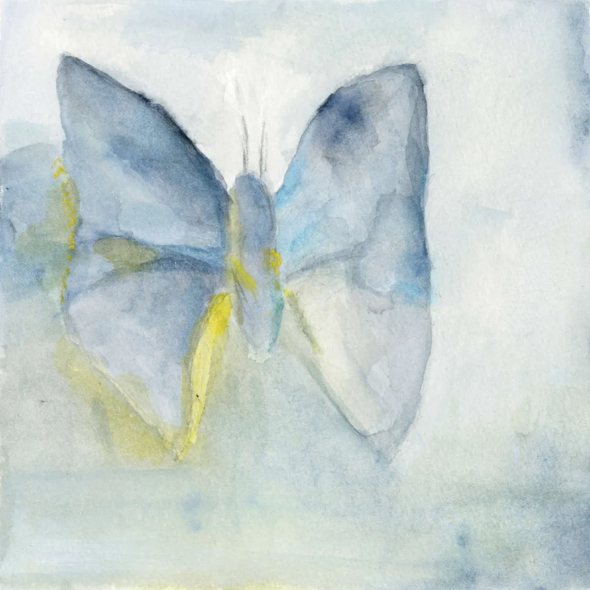 A Butterfly I Wall Art