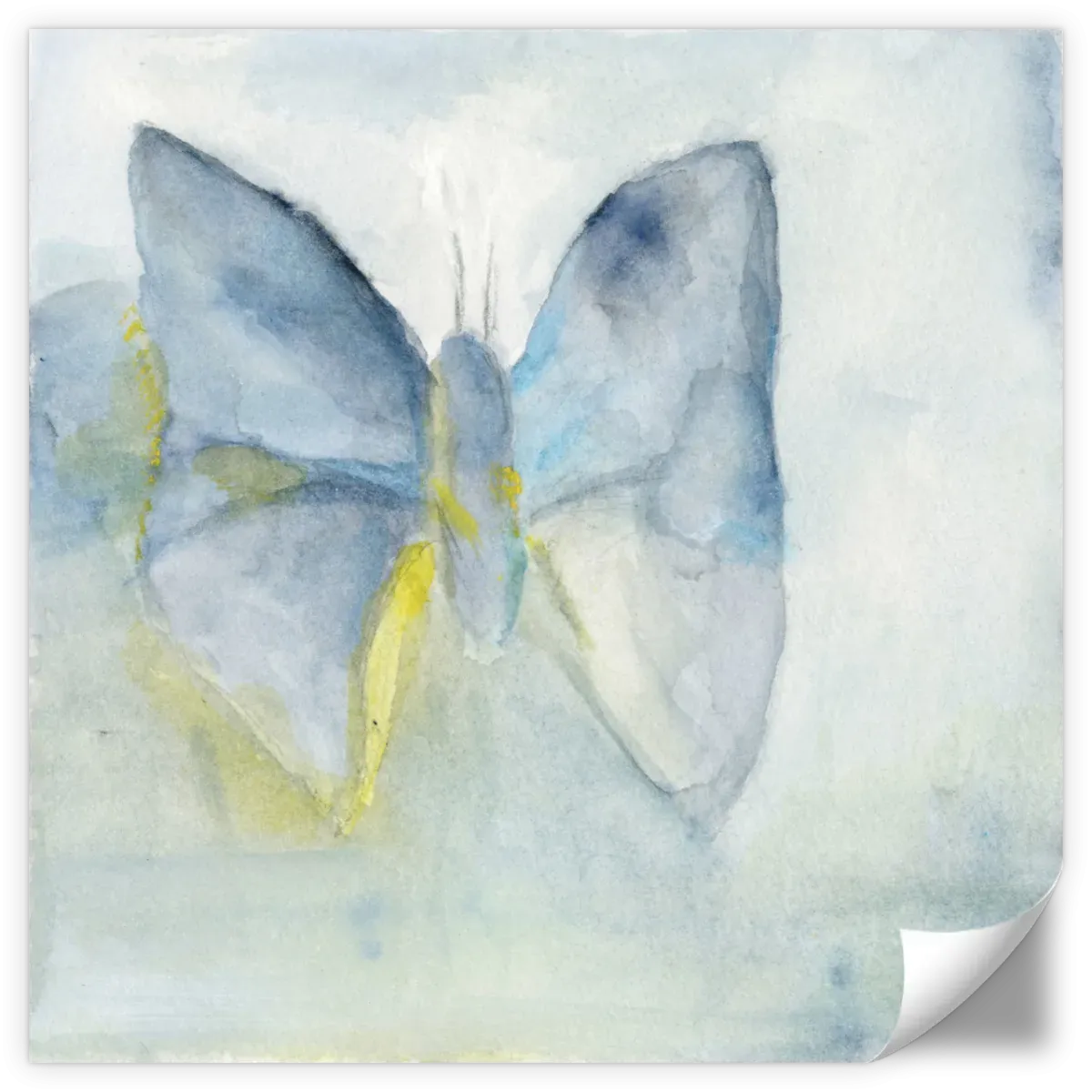 A Butterfly I Wall Art