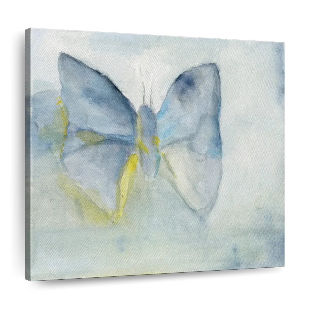 A Butterfly I Wall Art