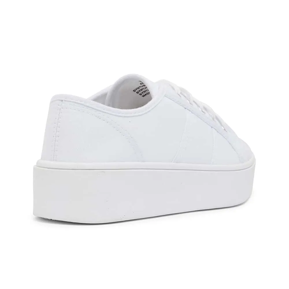 Adam Sneaker in White Canvas