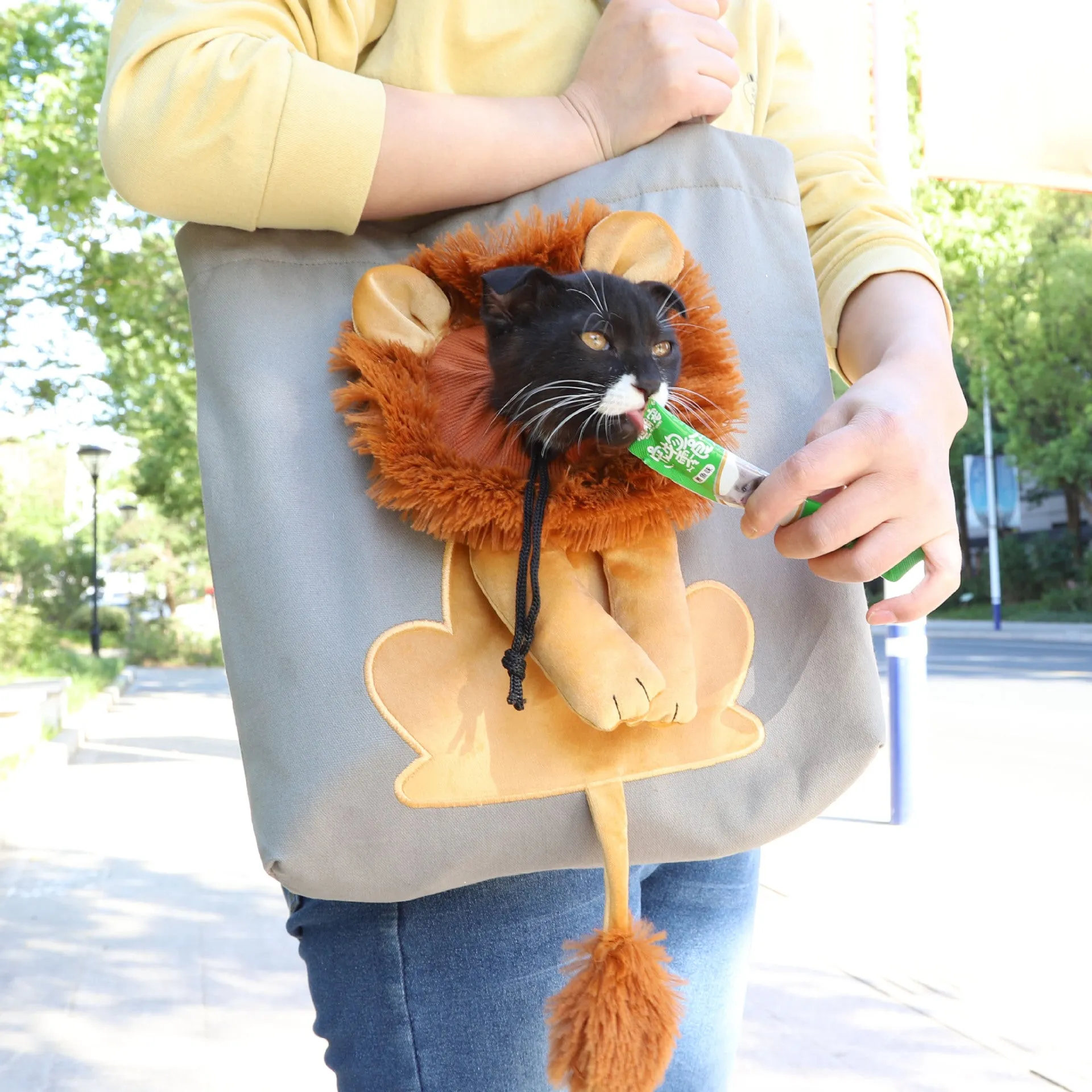 Portable Lion Design Soft Pet Carrier